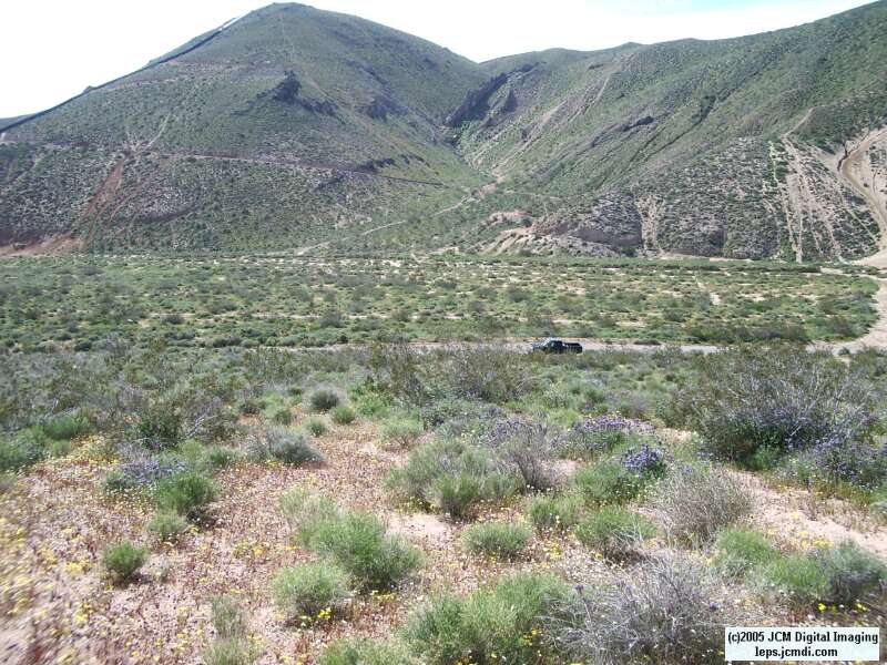 Jawbone, Rock Corral, Granite Mts., March 20 2005