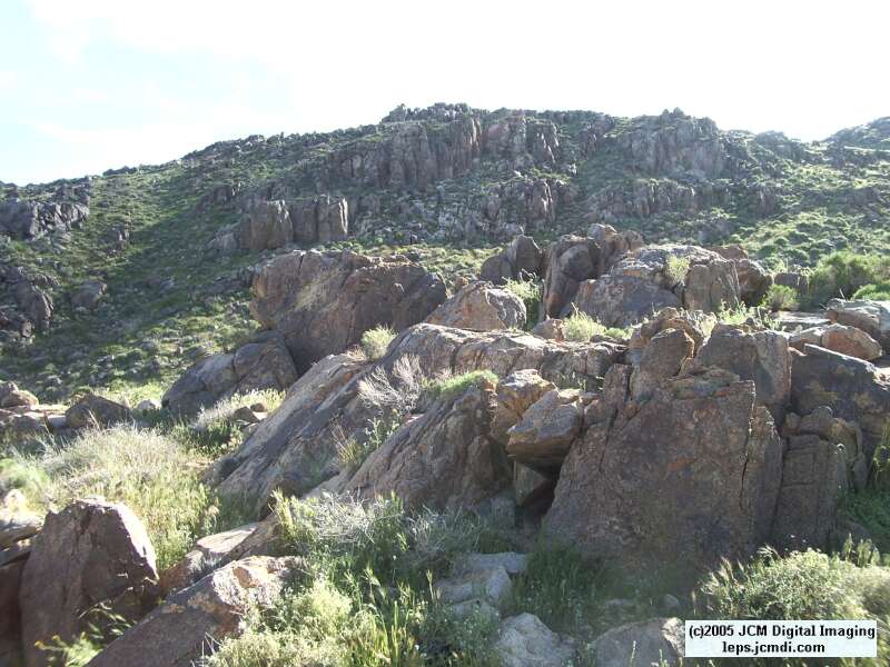 Jawbone, Rock Corral, Granite Mts., March 20 2005