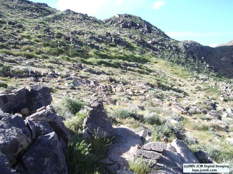 Jawbone, Rock Corral, Granite Mts., March 20 2005