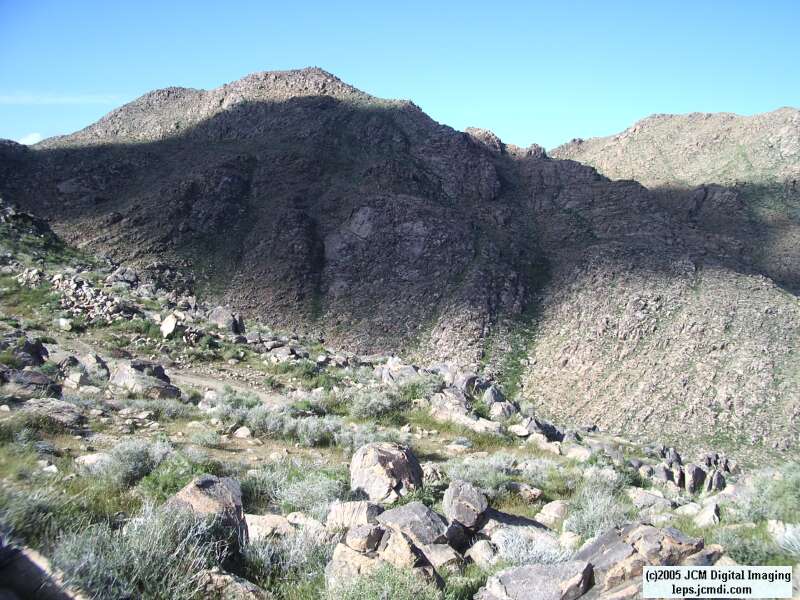 Jawbone, Rock Corral, Granite Mts., March 20 2005