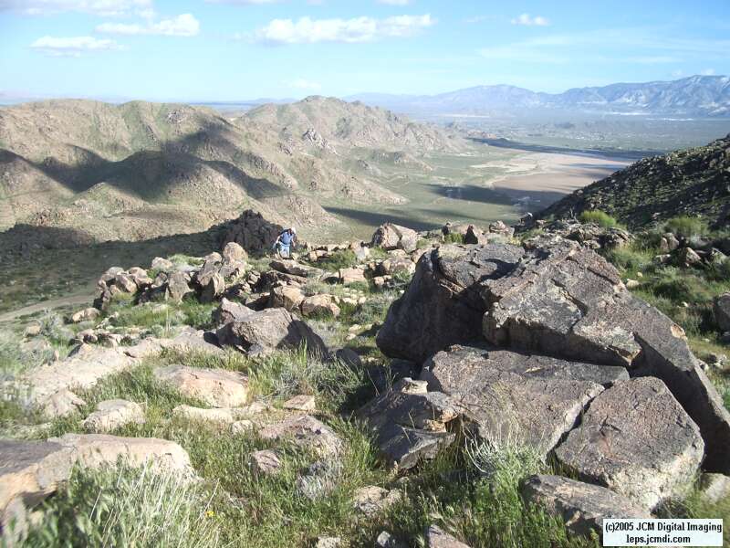 Jawbone, Rock Corral, Granite Mts., March 20 2005