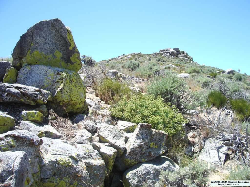 Butterbredt Peak climb, June 10, 2005