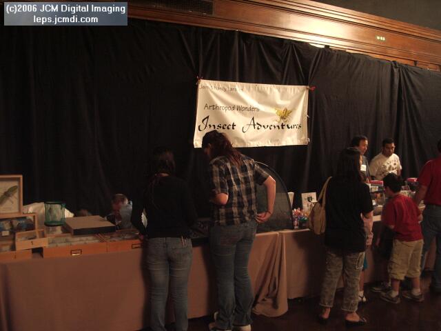 Los Angeles Natural History Museum insect fair 2006