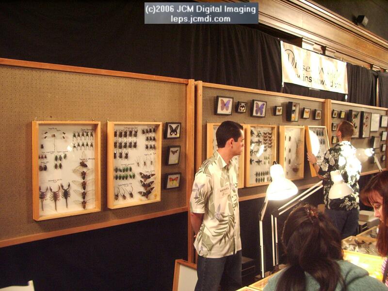 Los Angeles Natural History Museum insect fair 2006