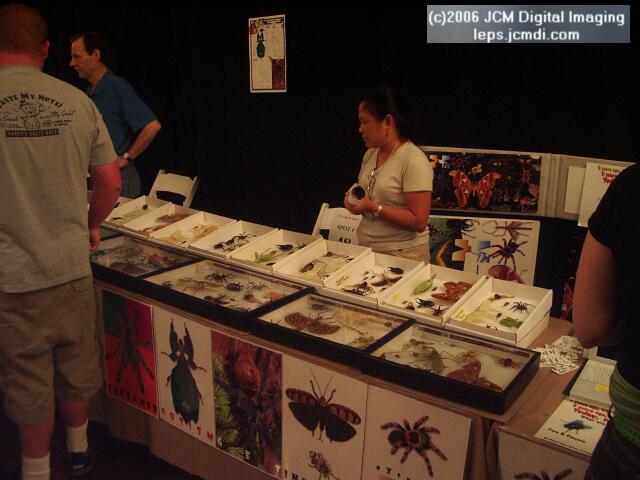 Los Angeles Natural History Museum insect fair 2006