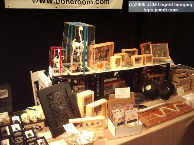 Los Angeles Natural History Museum insect fair 2006