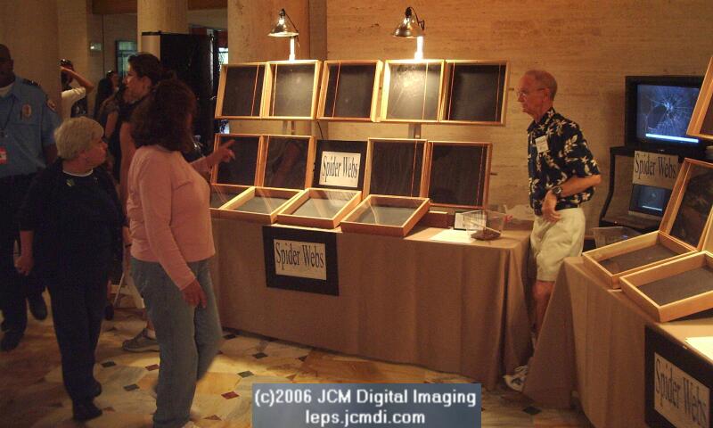 Los Angeles Natural History Museum insect fair 2006