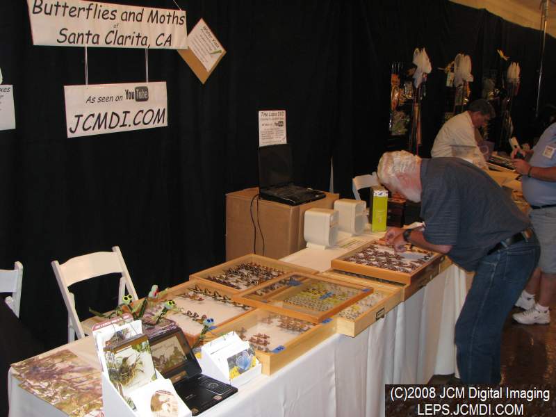 Los Angeles Natural History Museum insect fair 2008