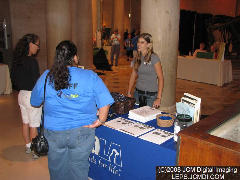 Los Angeles Natural History Museum insect fair 2008