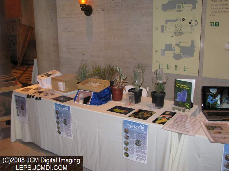 Los Angeles Natural History Museum insect fair 2008