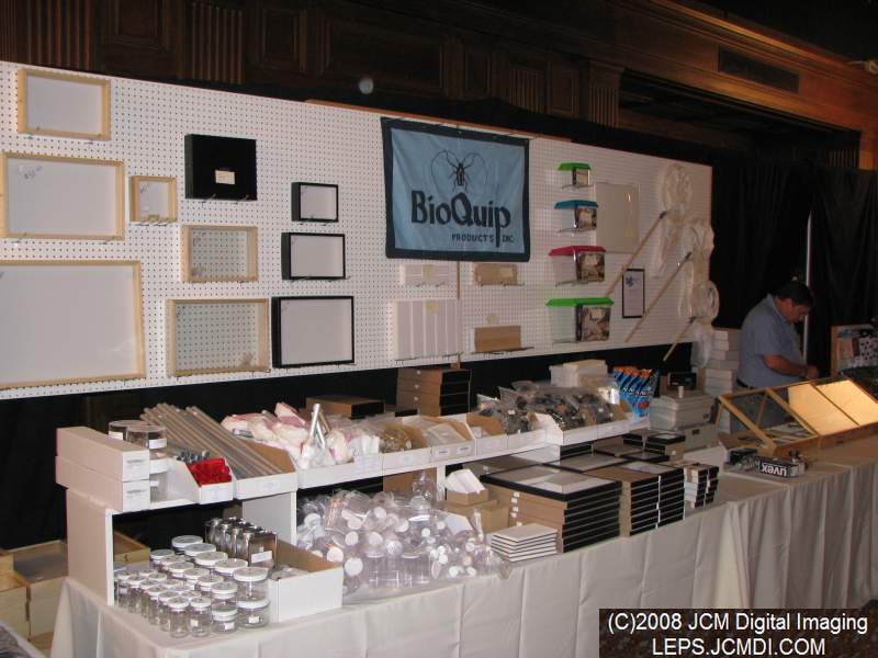 Los Angeles Natural History Museum insect fair 2008