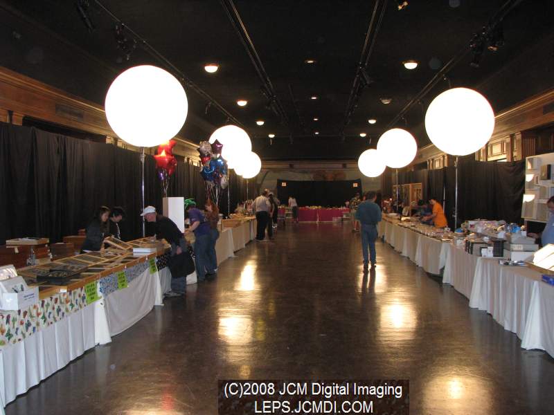 Los Angeles Natural History Museum insect fair 2008