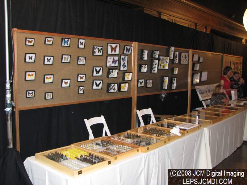 Los Angeles Natural History Museum insect fair 2008