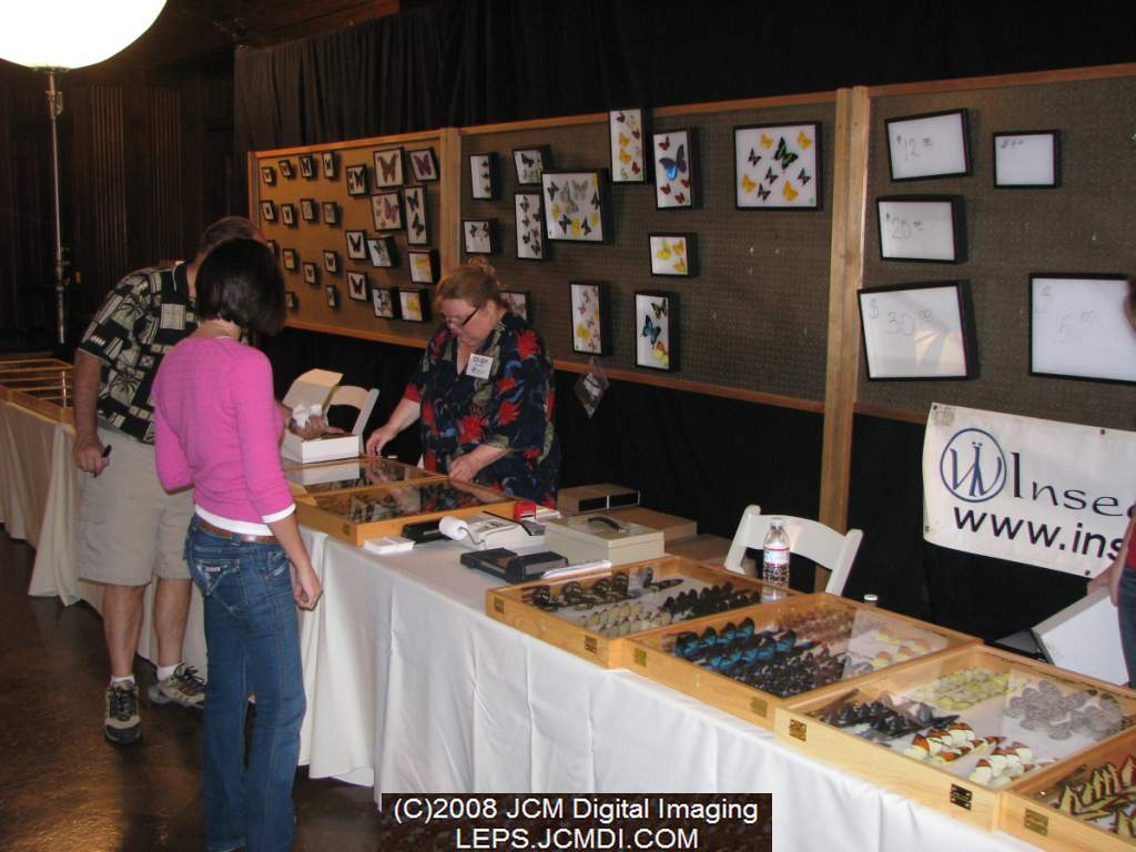Los Angeles Natural History Museum insect fair 2008