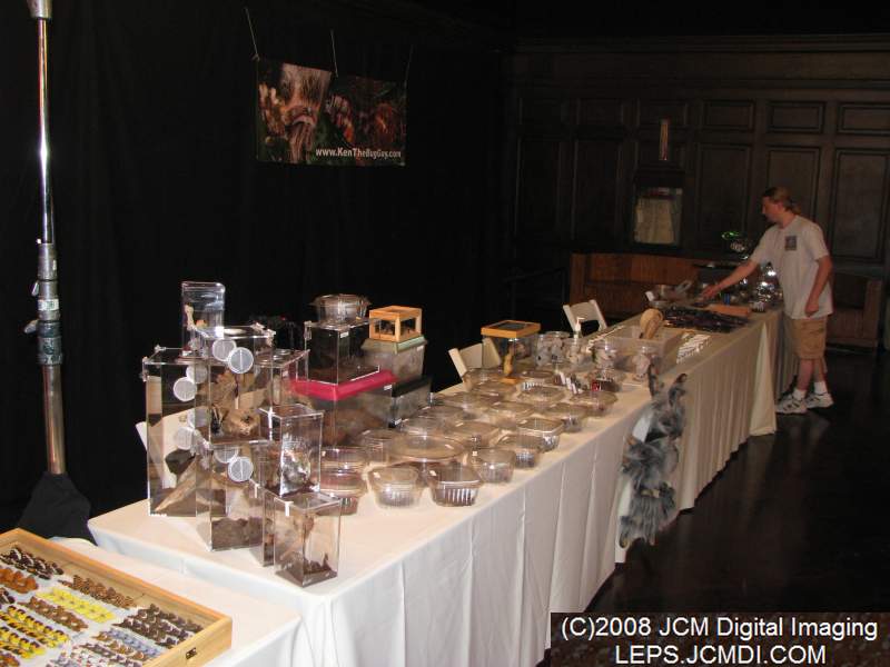 Los Angeles Natural History Museum insect fair 2008