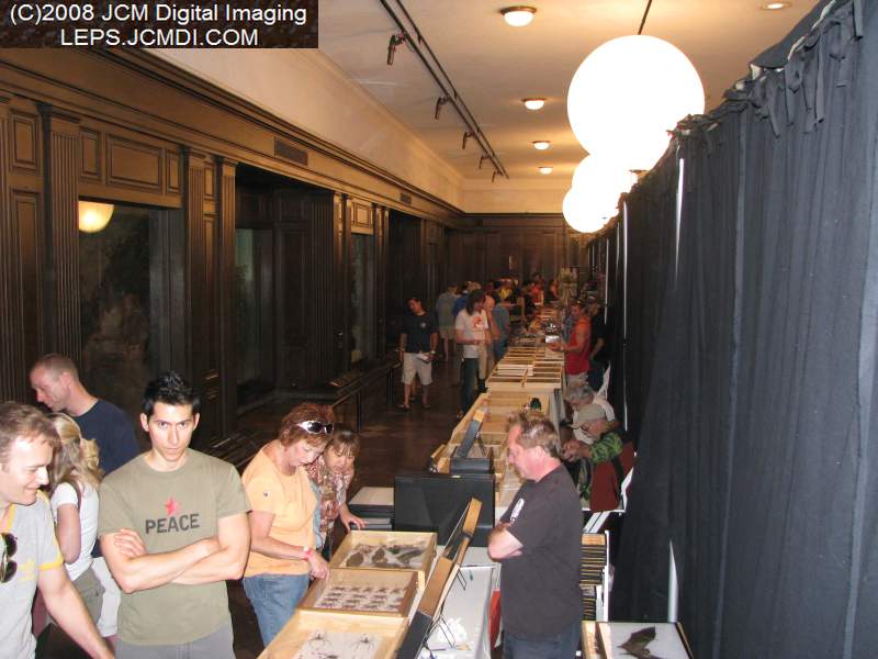 Los Angeles Natural History Museum insect fair 2008