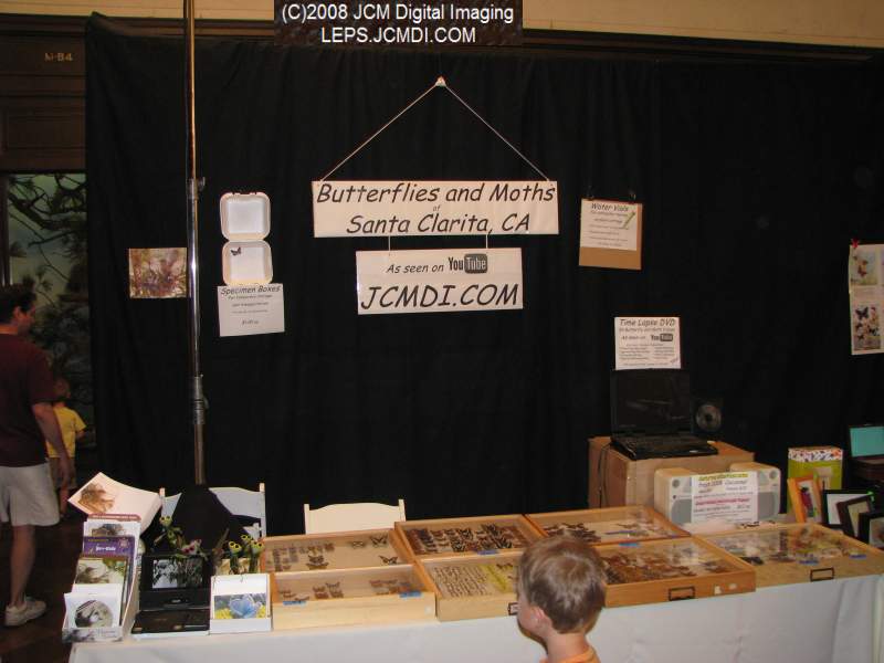 Los Angeles Natural History Museum insect fair 2008