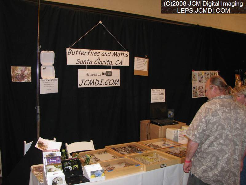 Los Angeles Natural History Museum insect fair 2008