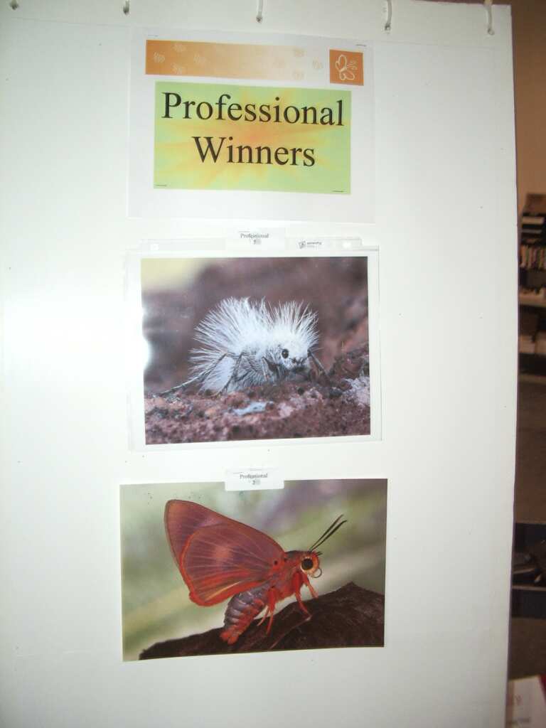 Bio-Quip 2004 Open House Photo Gallery 