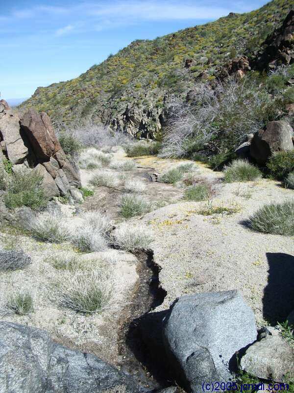 Dead Mountains road trip, March 6,7 2005