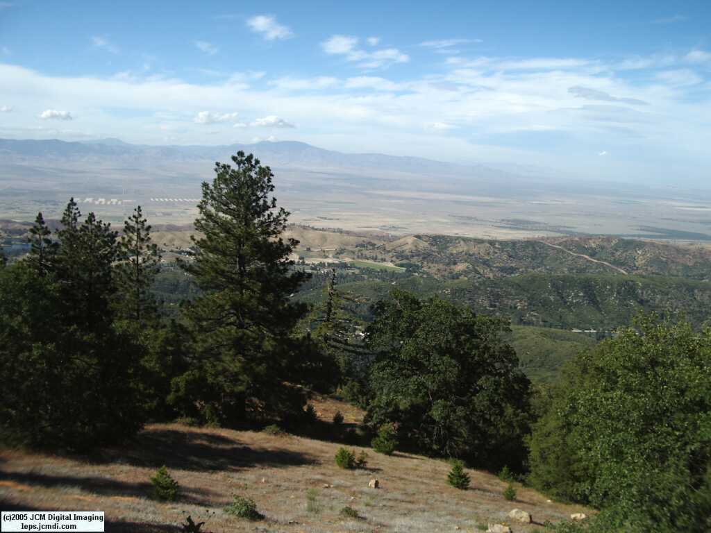 Sawmill Campground, June 2005