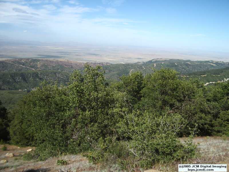 Sawmill Campground, June 2005
