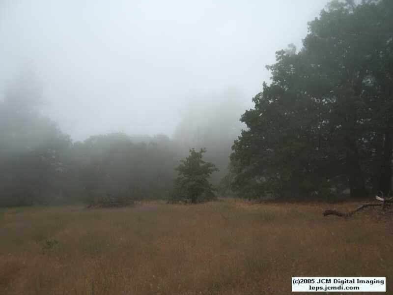 Sawmill Campground, June 2005