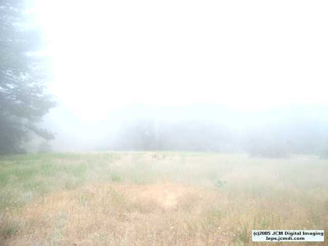 Sawmill Campground, June 2005