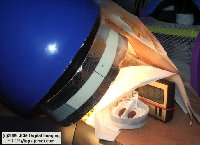 Saturnia albofasciata (White-Streaked Silkmoth) images, rearing, larvae, pupae, cocoons, and documentary