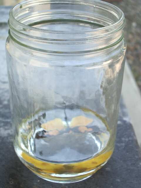 Butterfly moth lepidoptera wing degreasing techniues