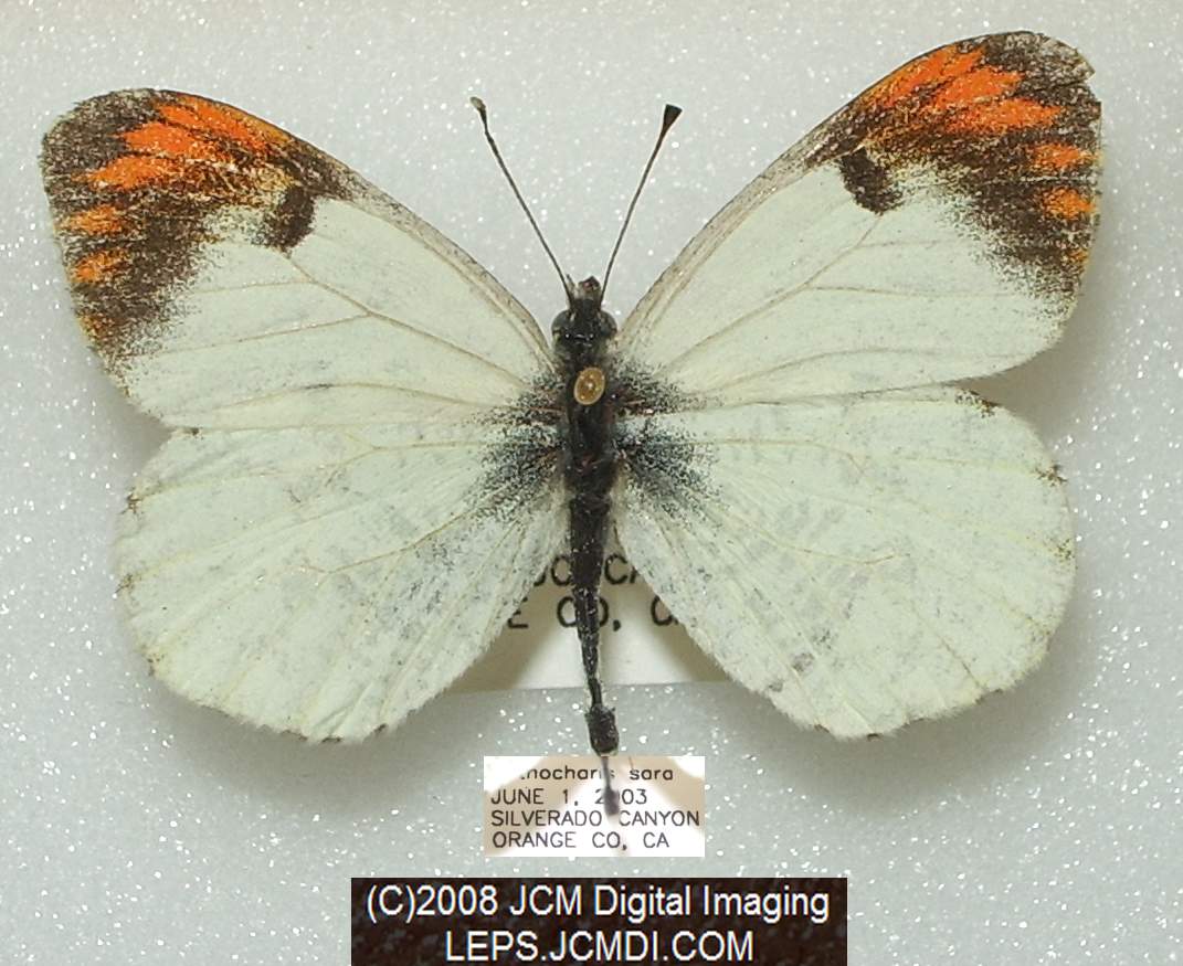 imgq6708.jpg