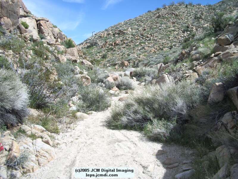 Jawbone, Rock Corral, Granite Mts., March 20 2005