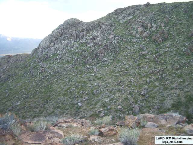 Jawbone, Rock Corral, Granite Mts., March 20 2005