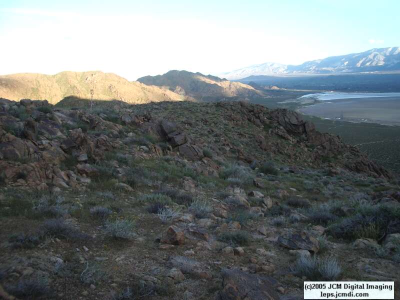 Jawbone, Rock Corral, Granite Mts., March 20 2005