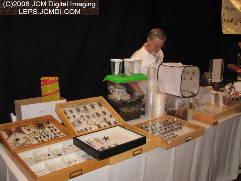 Los Angeles Natural History Museum insect fair 2008