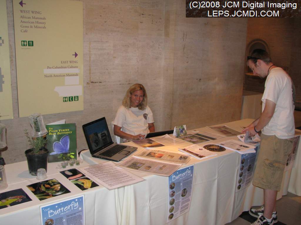Los Angeles Natural History Museum insect fair 2008