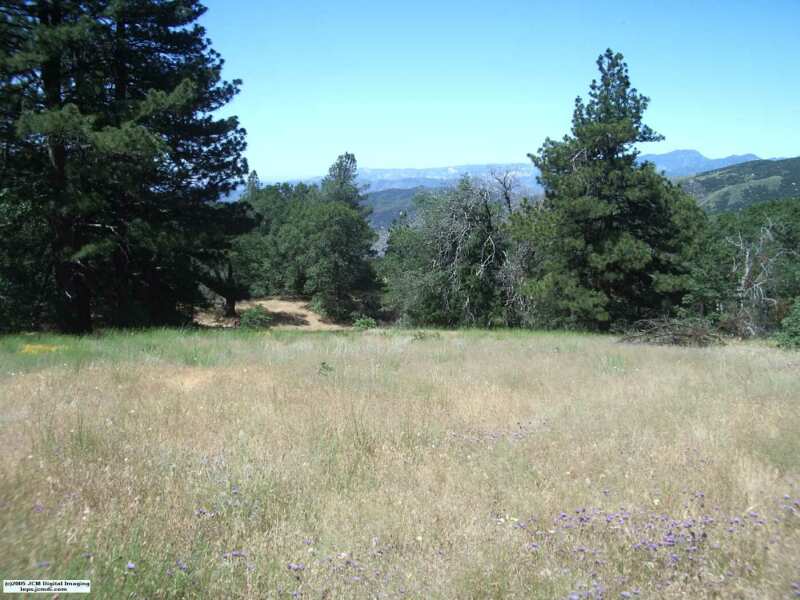 Sawmill Campground, June 2005