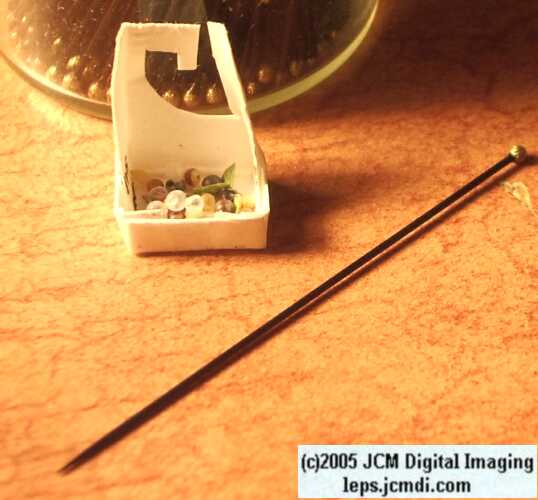 Egg Trays for rearing lepidoptera JCMDI.COM