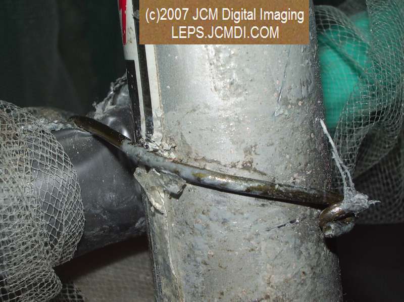Netasaurus Rex super large insect net construction project JCMDI.COM