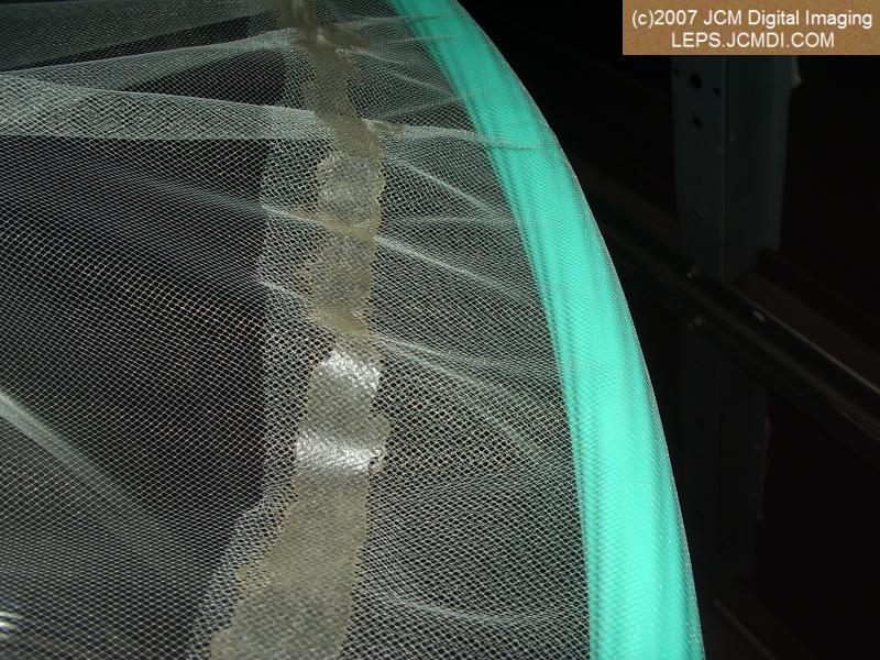 Netasaurus Rex super large insect net construction project JCMDI.COM