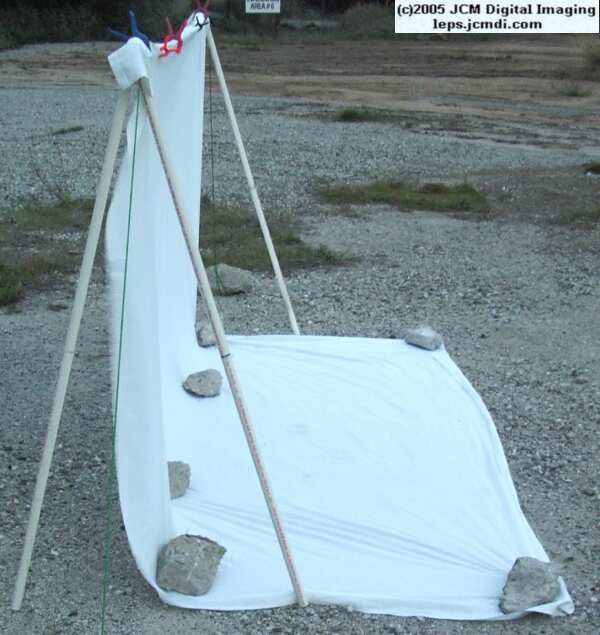Portable and compact night flying insect collecting sheet rig documentary JCMDI.COM