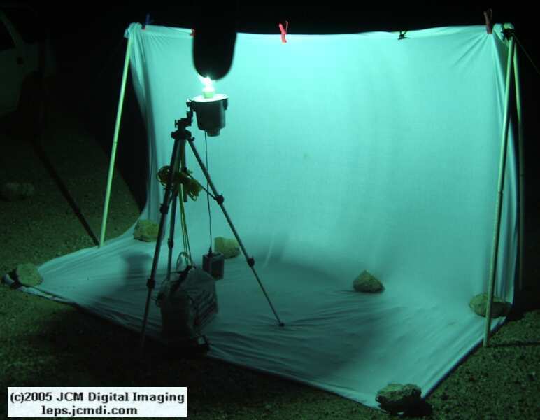 Portable and compact night flying insect collecting sheet rig documentary JCMDI.COM