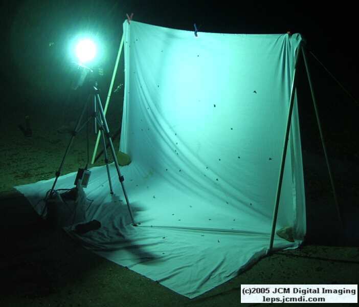 Portable and compact night flying insect collecting sheet rig documentary JCMDI.COM