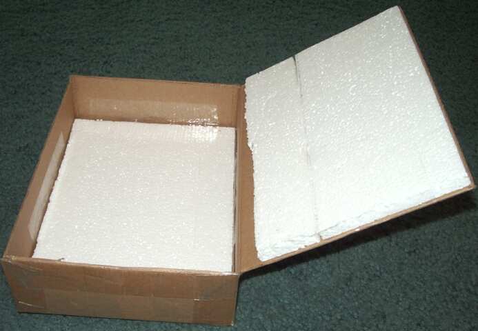 Tips and tricks shipping mounted butterfly and moth specimens through the mail