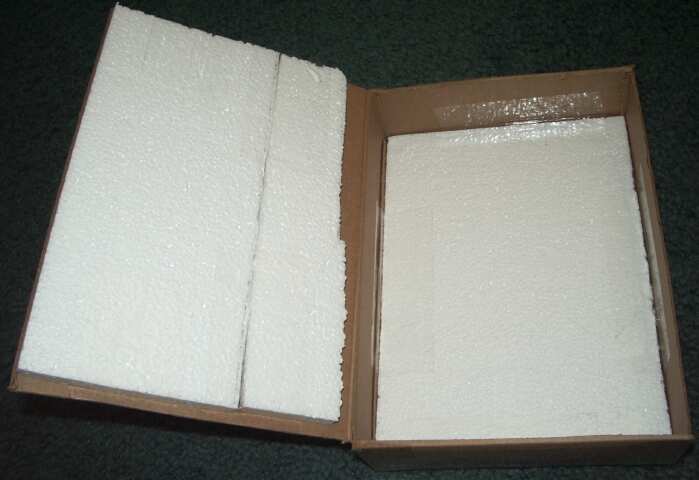 Tips and tricks shipping mounted butterfly and moth specimens through the mail