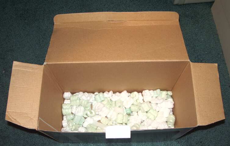Tips and tricks shipping mounted butterfly and moth specimens through the mail