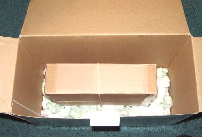 Tips and tricks shipping mounted butterfly and moth specimens through the mail